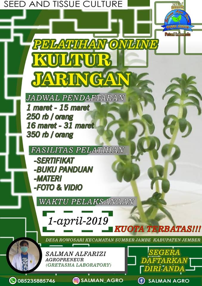 Pelatihan Online Kultur Jaringan Bersama Salman Agro