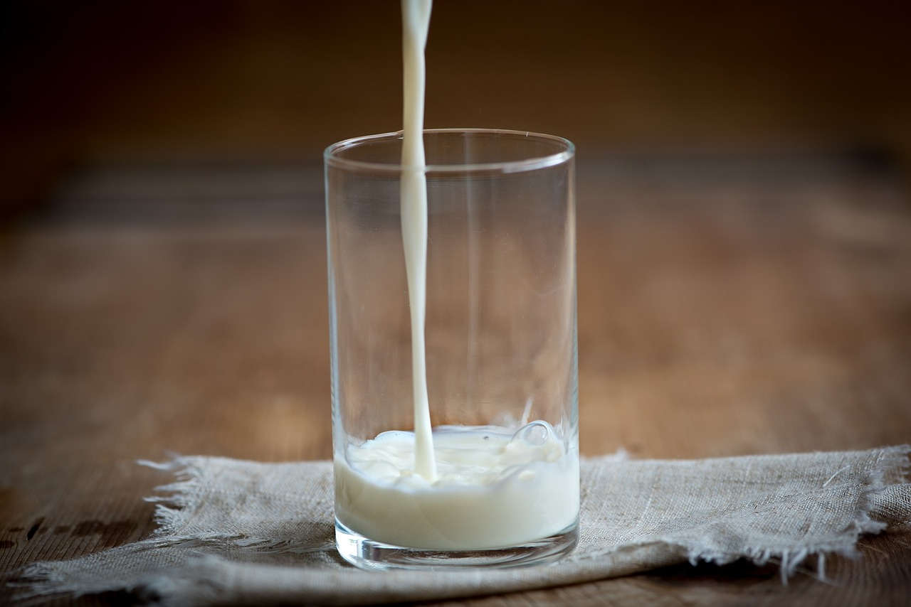 Vitamin B2 dapat diperoleh dari susu