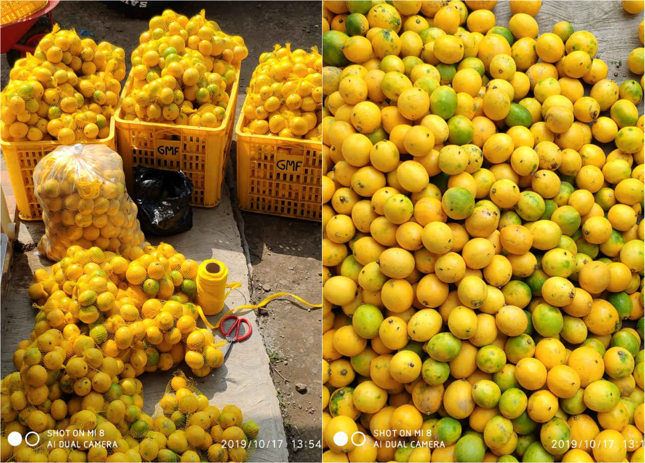 Lemon Padepokan Pandawa Lima