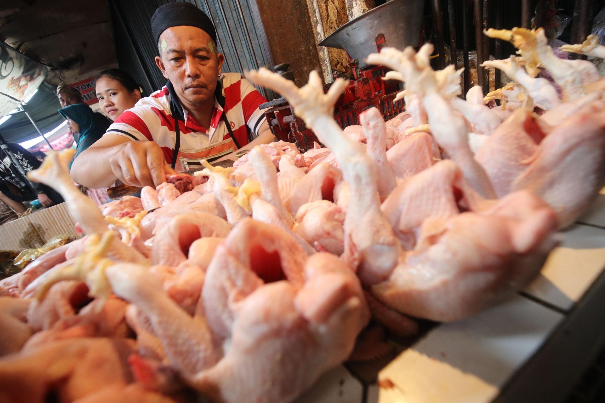 kenaikan harga
