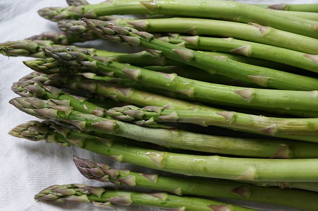 budidaya asparagus