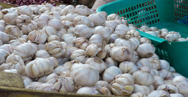 peluang pertanian