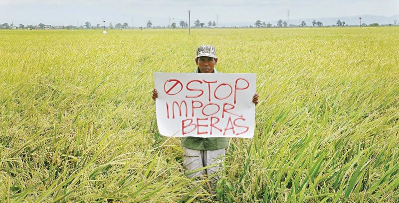 peluang pertanian