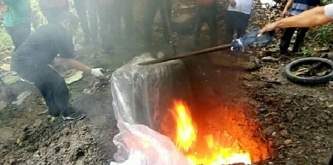 kelelawar